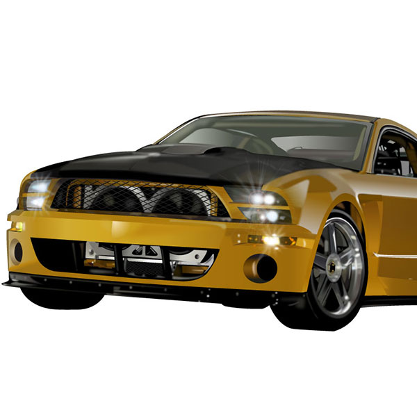 Mustang vector illustration process step 2